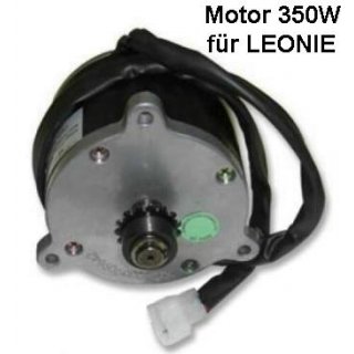 Motor 24V 350W für Leonie