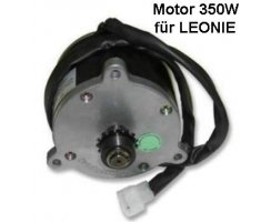 Motor 24V 350W für Leonie
